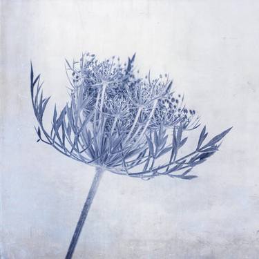 Print of Botanic Mixed Media by Deborah Pendell