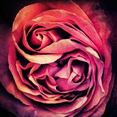 Print of Floral Mixed Media by Deborah Pendell