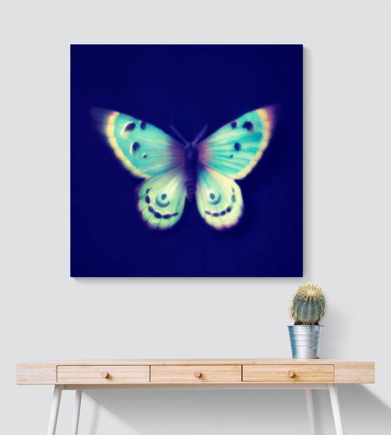 Original Figurative Nature Photography by Deborah Pendell