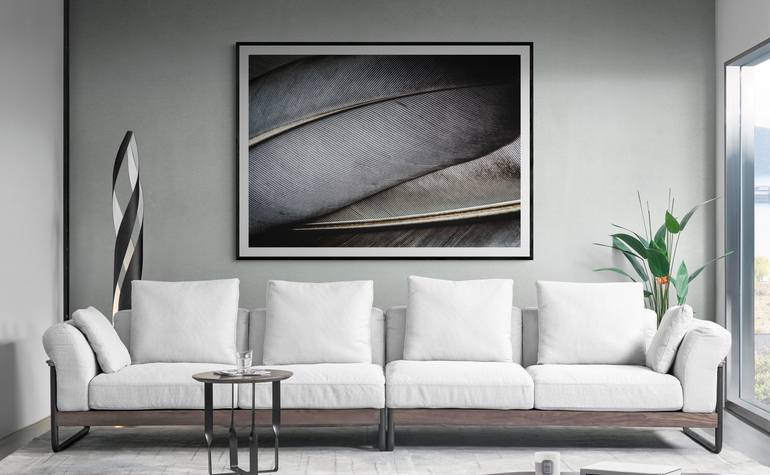 Original Abstract Still Life Photography by Deborah Pendell