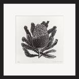 Firewood Banksia Original Linocut Print | Edition 14 by Michelle McKinnon