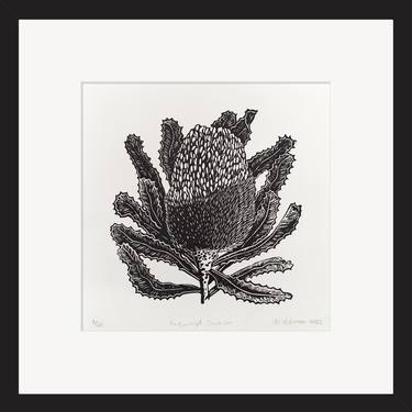 Original Contemporary Botanic Printmaking by Michelle McKinnon