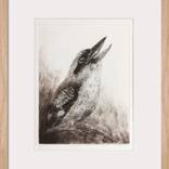 Laughing Kookaburra | Drypoint Ed 2 of 15 by Michelle McKinnon