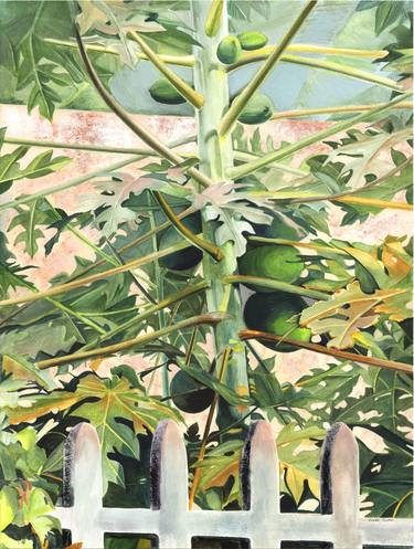 Papaya Tree thumb