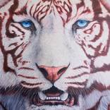Captivate by Mahdhav Sarna