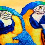 Vibrancy and Light, Perched From Flight by Mahdhav Sarna