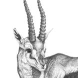 Collection Monochrome Mood