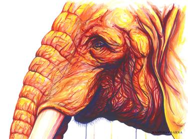 Original Animal Paintings by Mahdhav Sarna