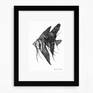 Subject: Angel Fish (Life-size)

*Framed size: 22.5cm x 27.5cm x 2cm