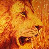 Collection SM Over $3,000