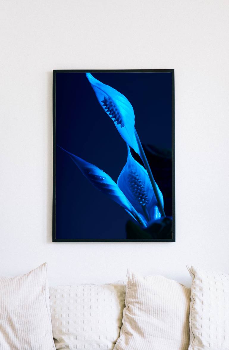 Original Conceptual Floral Photography by Marek Mulenko