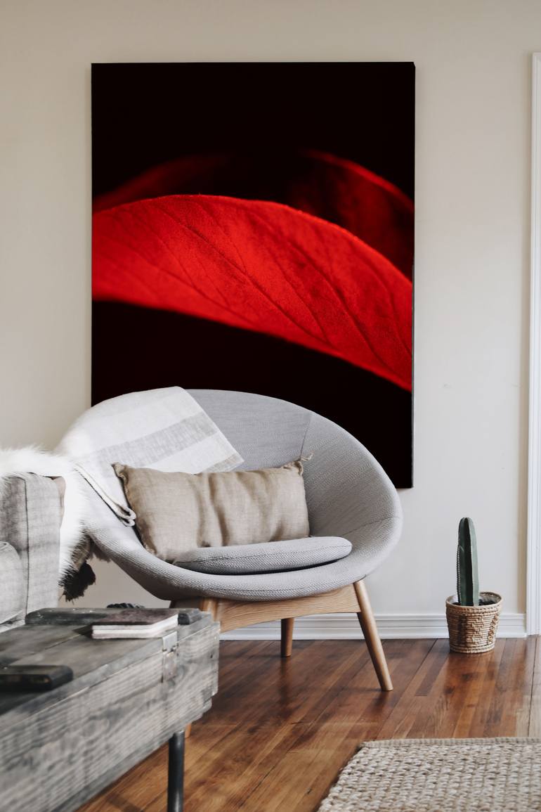Original Impressionism Floral Photography by Marek Mulenko