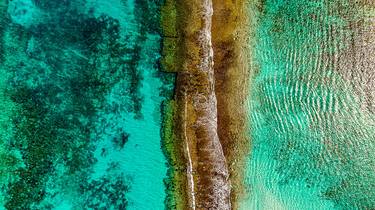 Contrasting Colors of the Ocean thumb