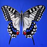 Collection Abstract Butterfly Paintings