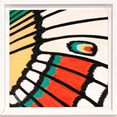 Butterfly (framed) thumb
