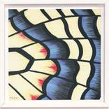 Collection Abstract Butterfly Paintings