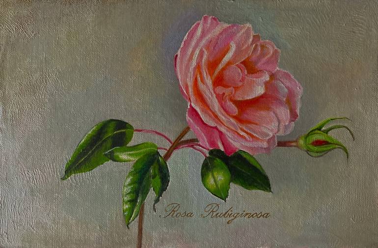 Original Realism Botanic Paintings by Priyanka Singh