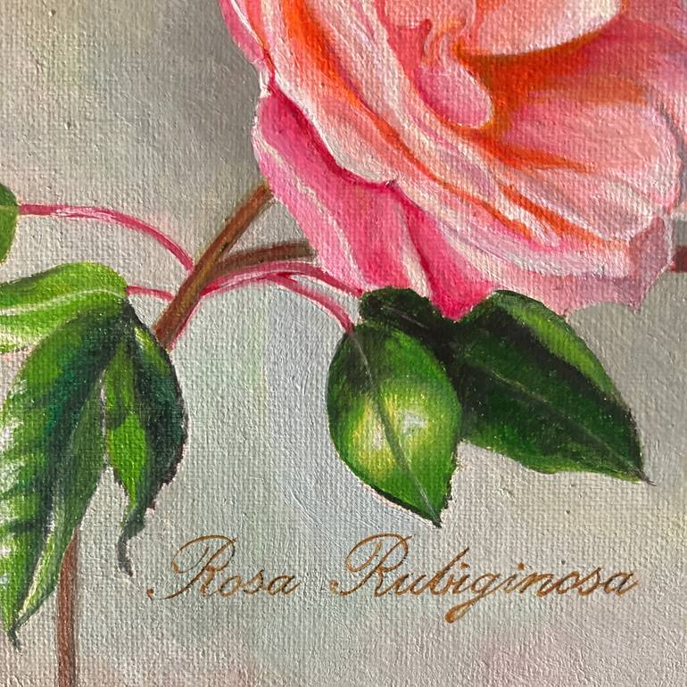 Original Realism Botanic Painting by Priyanka Singh