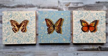 Butterfly Triptych thumb