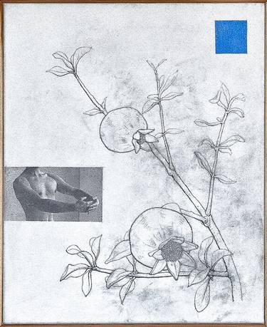 Original Minimalism Botanic Paintings by Alexandre Liberato