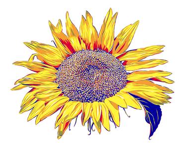 Sunflower yellow floral wildflower summer painting expressionism thumb