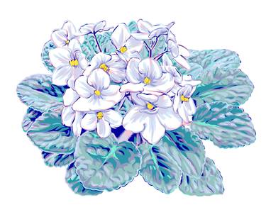 Original Floral Digital by Vitali Komarov