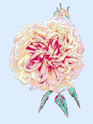 Rose flower pink floral painting cute botanical thumb