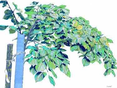 Young linden tree painting Landscape original art impressionism thumb