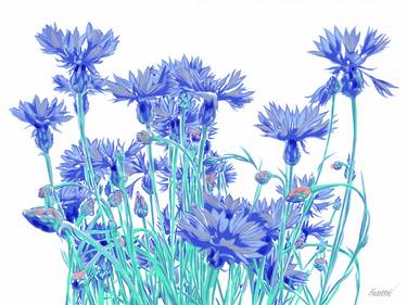 Cornflower painting Wildflower original art Blue floral flowers thumb