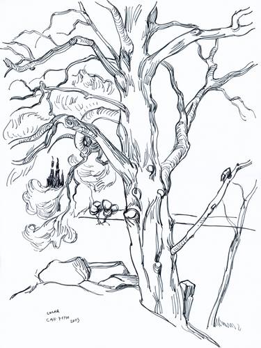 Alpilles Saint-Remy Provence drawing France tree landscape thumb