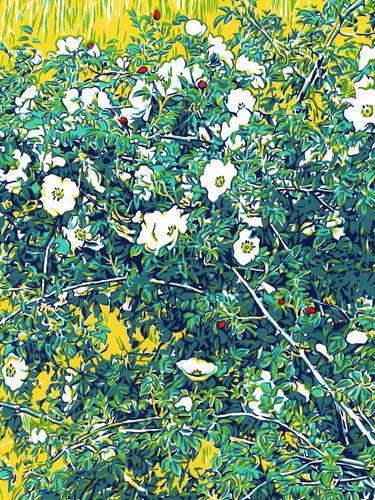 Wild rose impressionism painting Floral original art landscape thumb