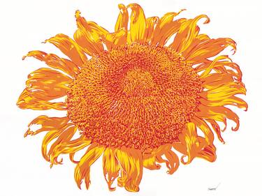 Sunflower painting Flower original art Orange botanical thumb
