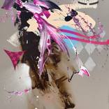 Elegant Chaos by Carolina Alotus