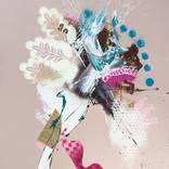 Feathered flow by Carolina Alotus