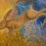 Hare detail
