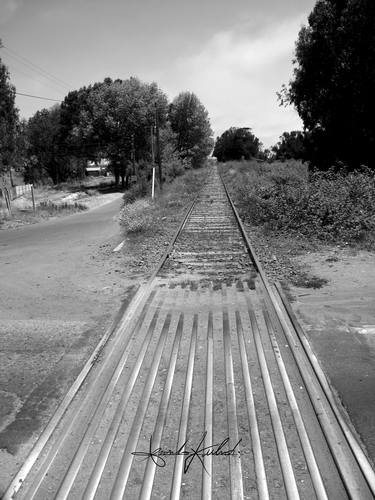 Original Realism Train Photography by Leonardo Kubrick