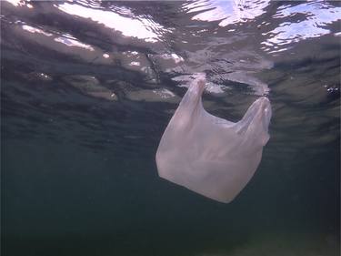 Environmental - Plastic bag in the ocean thumb