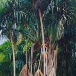 LOSING PARADISE by Virgilio Cianci