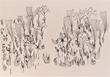Print of Botanic Drawings by Danilo Roldan