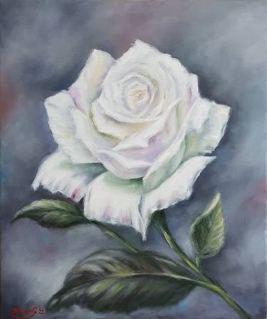 A White Rose thumb