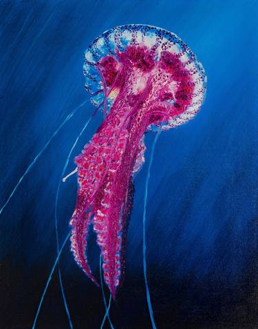 Pink Mauve Stinger Jellyfish thumb