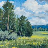 Impressionistic landscape by Samir Godinjak