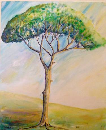Original Realism Tree Paintings by Angelo Ferro