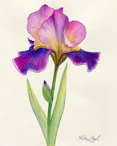 Print of Fine Art Floral Paintings by Katie Lloyd