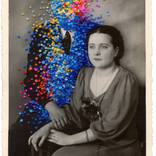 Collection The Other Art Fair: Rising Stars