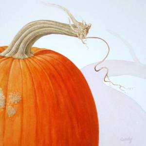 Pumpkins