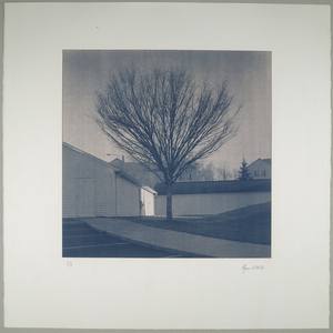 Collection The Medicine Show: Guilford County cyanotypes
