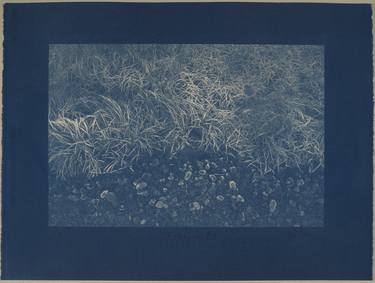 Frozen forest N°4. – cyanotype thumb