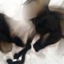 I used the raw material of Fire and Soot to capture the form and movement of the subject.