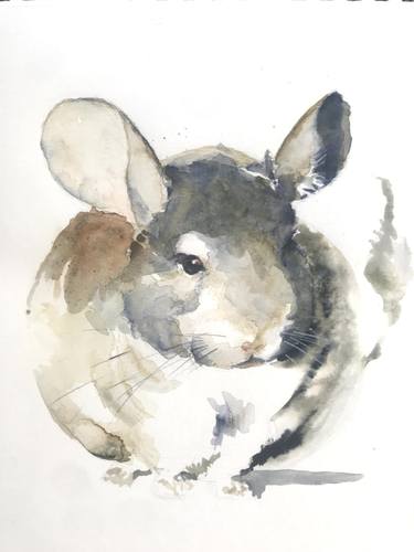 Watercolor Chinchilla thumb